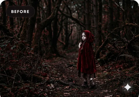 Example image with a visible Gemini sparkle watermark in the corner